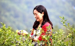 午夜电影在线观免费